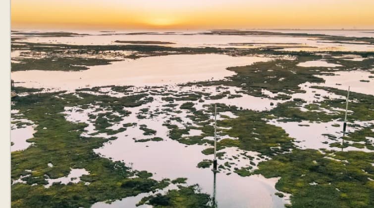 Port A Local — aerial coastal sunset