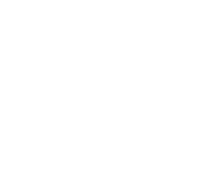 Palm Republic
